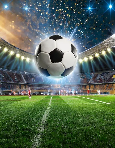 NG体育app 手机应用界面